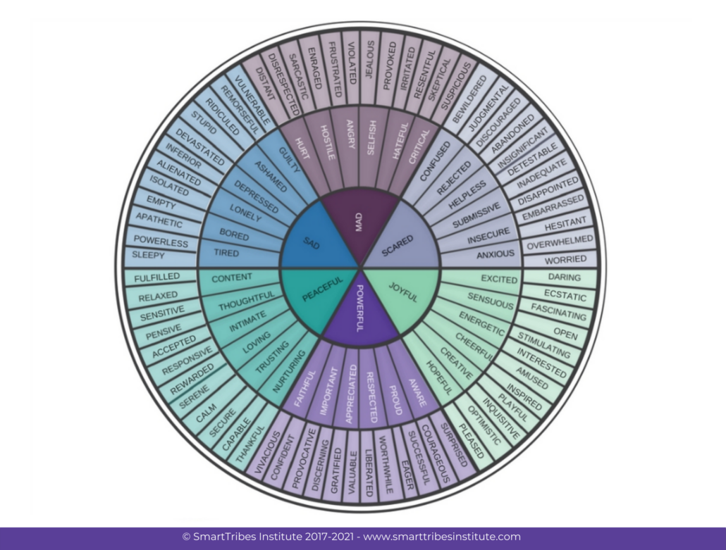 Circular wheel of emotions to use for 