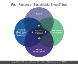 Four Factors of Sustainable SmartTribes