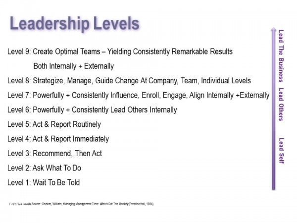 Leadership Levels Blog Picture