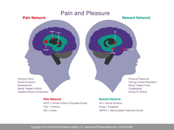 Emotional Intelligence (EQ) - Pain and Pleasure