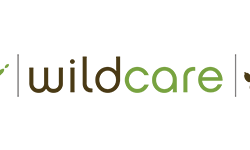 Wildcare logo